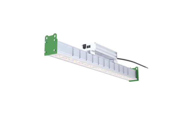LEDtb F320